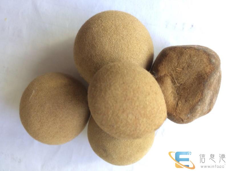 昆明私人买家急购羊宝，当天给钱。