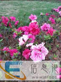 上门维护网络检测水质