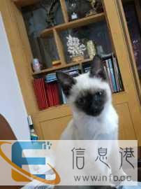 给自家 有钱 找女朋友