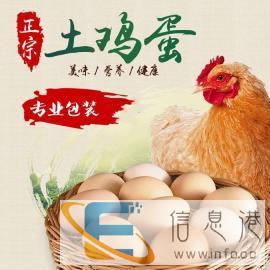 自家油茶基地散养土鸡蛋一元一个