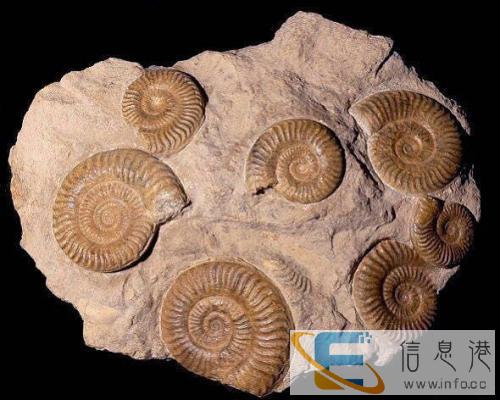 河南洛阳私人高价收购字画快速变现快速交易