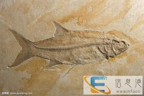 内蒙古正规私人常年免费鉴定收购字画当天快速交易