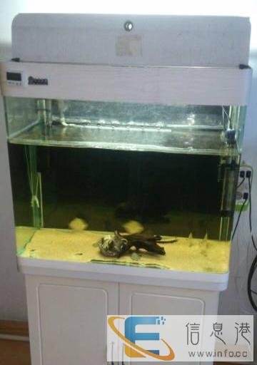 天龙水族箱 白菜价