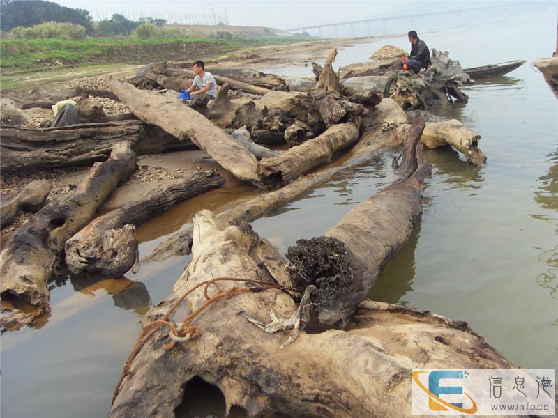 贵州哪里有个人常年现金收购古玩古董当天快速交易