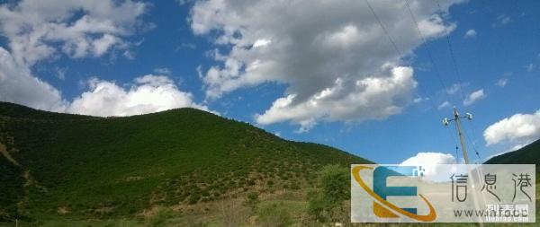 个人俄语专业翻译