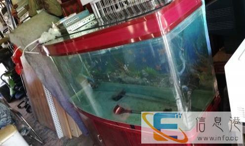 石家庄二手鱼缸高价收购