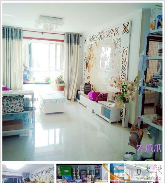 专业繁育美短 银虎斑蝴蝶纹 加白起司猫 特价寻主