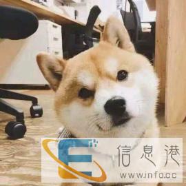 个人 英语和西班牙语翻译/带客参观工厂和商务口译