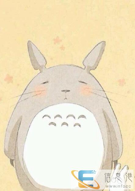 求购宠物猫咪一只