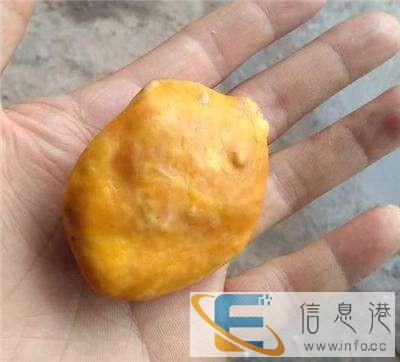 连云港鸡宝哪里可以私下交易当天现结的？