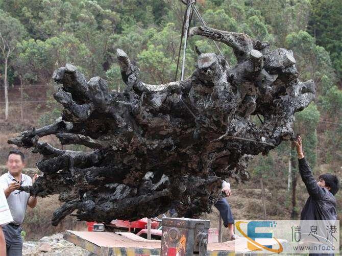 绵阳私人常年现金收购奇石个人当天收购古玩