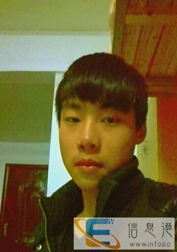 求一只刚毛猎狐梗