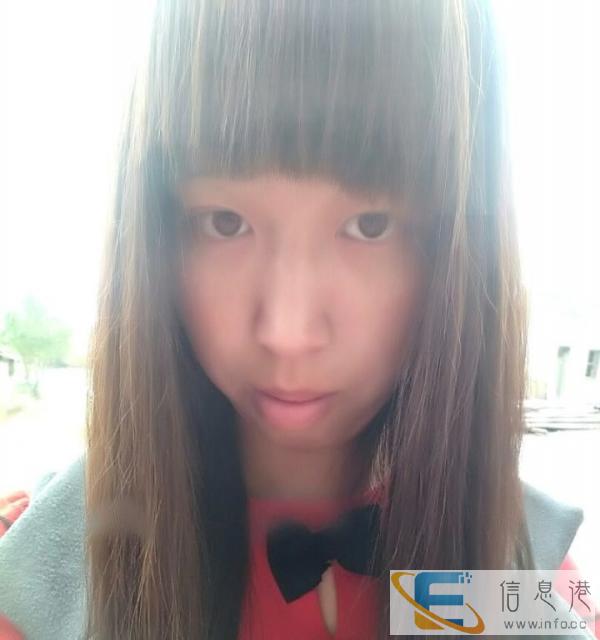 想领养一只小狗