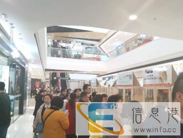 英短美短加菲布偶全品项种公对外借配 英短美短加菲布偶全品项种公对外借配