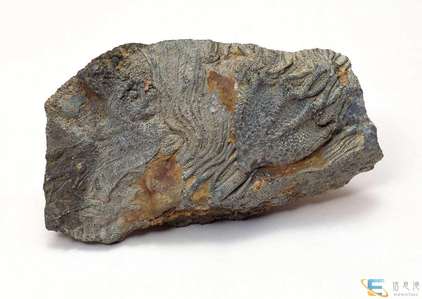 牡丹江私人私下-高价收购各类古钱币个人老板现金 收购 古玩