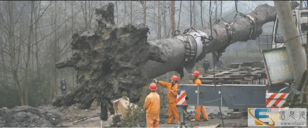 镇江私人正规常年收购化石 当天现金到账