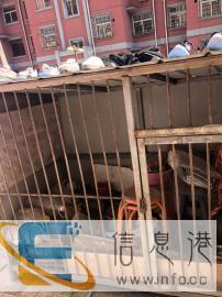 大型狗笼带锁双层狗笼带锁