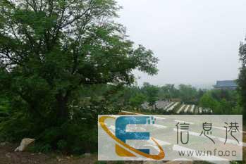 低价销售转让峄城莲花山生态陵园公园式公墓