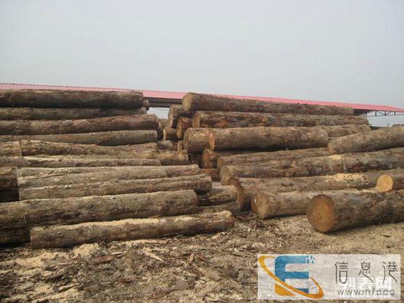 昭通木材鉴定真实精确 木材材质鉴定 树种鉴定权威中心