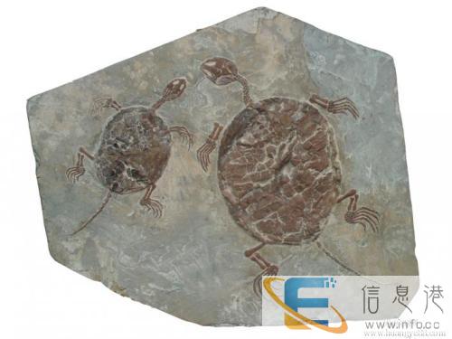 曲靖收古玩的哪里有,私人老板现金收购古玩古董