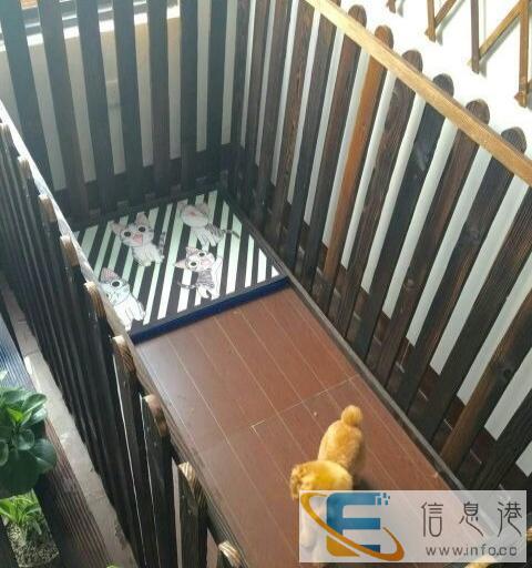 主人手机24小时监控岛内外免费接送