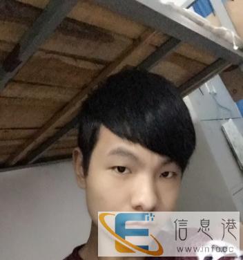 本人只想领养一只小猫