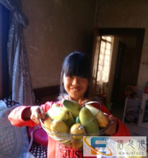 求一只宠物陪伴着我