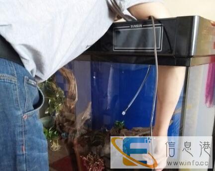 清理,养护鱼缸 1.2米以下