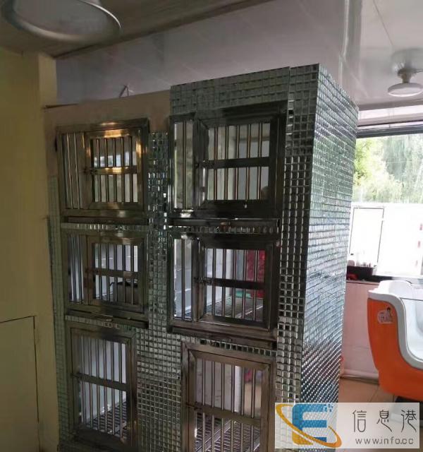 城北区海西西路宝娃家的宠物店