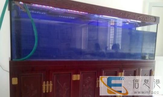 烟台市鱼缸维修,清洗,更换配件,鱼缸用品