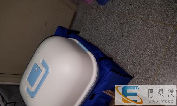 美短3月大家养小猫,连一套宠物设施