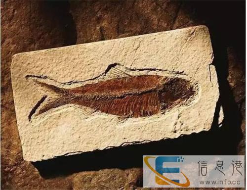 黑龙江绥化私人高价收购藏画快速变现快速交易