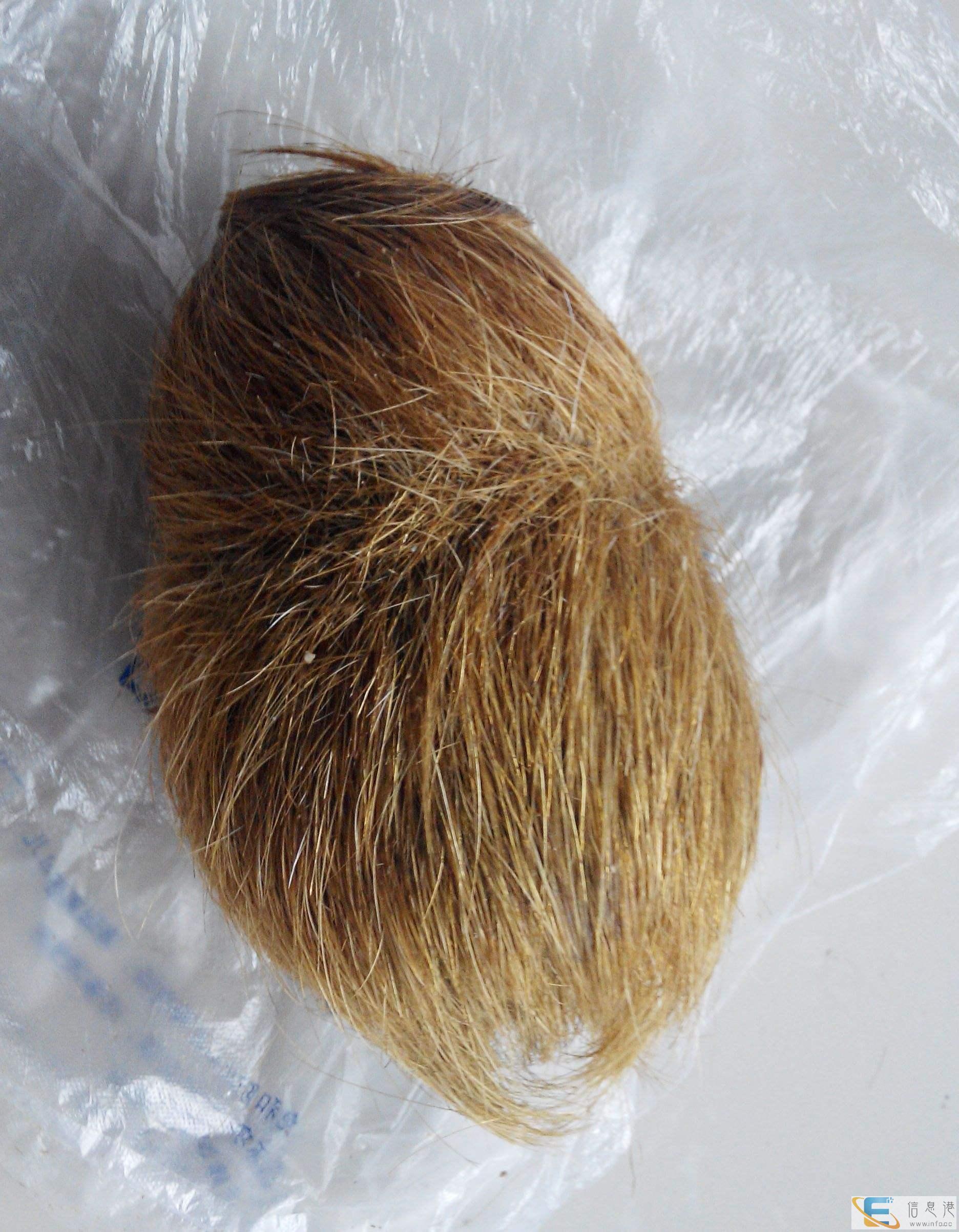 遂宁私人收购玉器,私人常年现金收购高古老玉