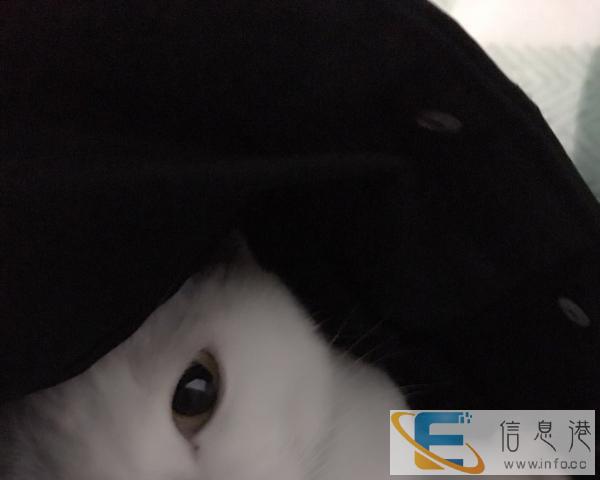 要去外地了 不方便带