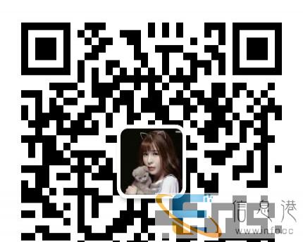 出售美国短毛猫美短加白起司猫英短蓝猫渐层家养