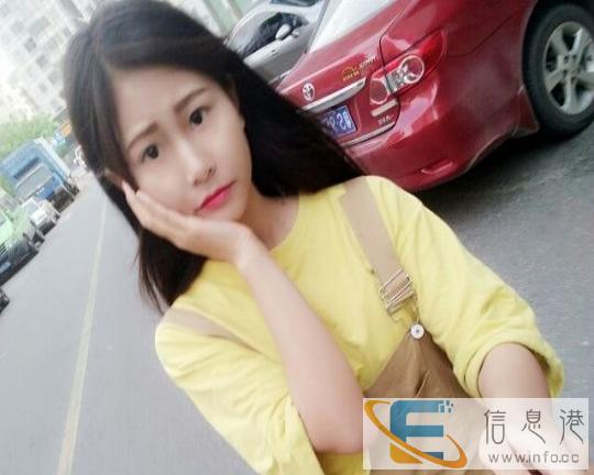 求赠送一只猫咪