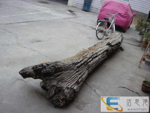 西藏哪里有私人老板收购瓷器 现金收购古玩