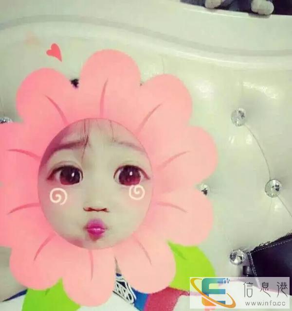 希望有好心人送只宠物小猫小狗都可以非常喜欢小动物资金有点紧张