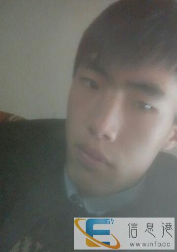 求领养一只乖巧,听话的狗狗