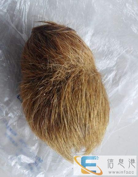 陕西正规私人常年免费鉴定收购古钱币当天快速交易