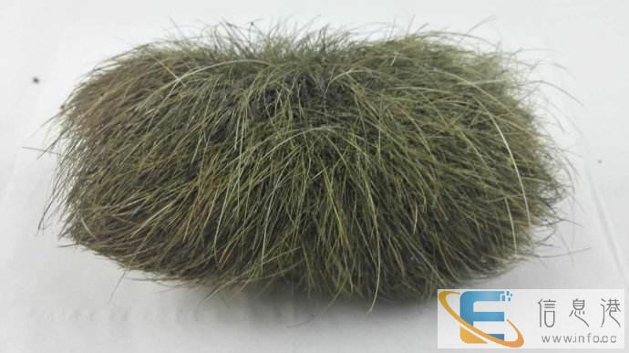 内蒙古哪里有个人常年现金收购乌木当天快速交易