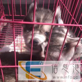 全国托运火车托运航空托运