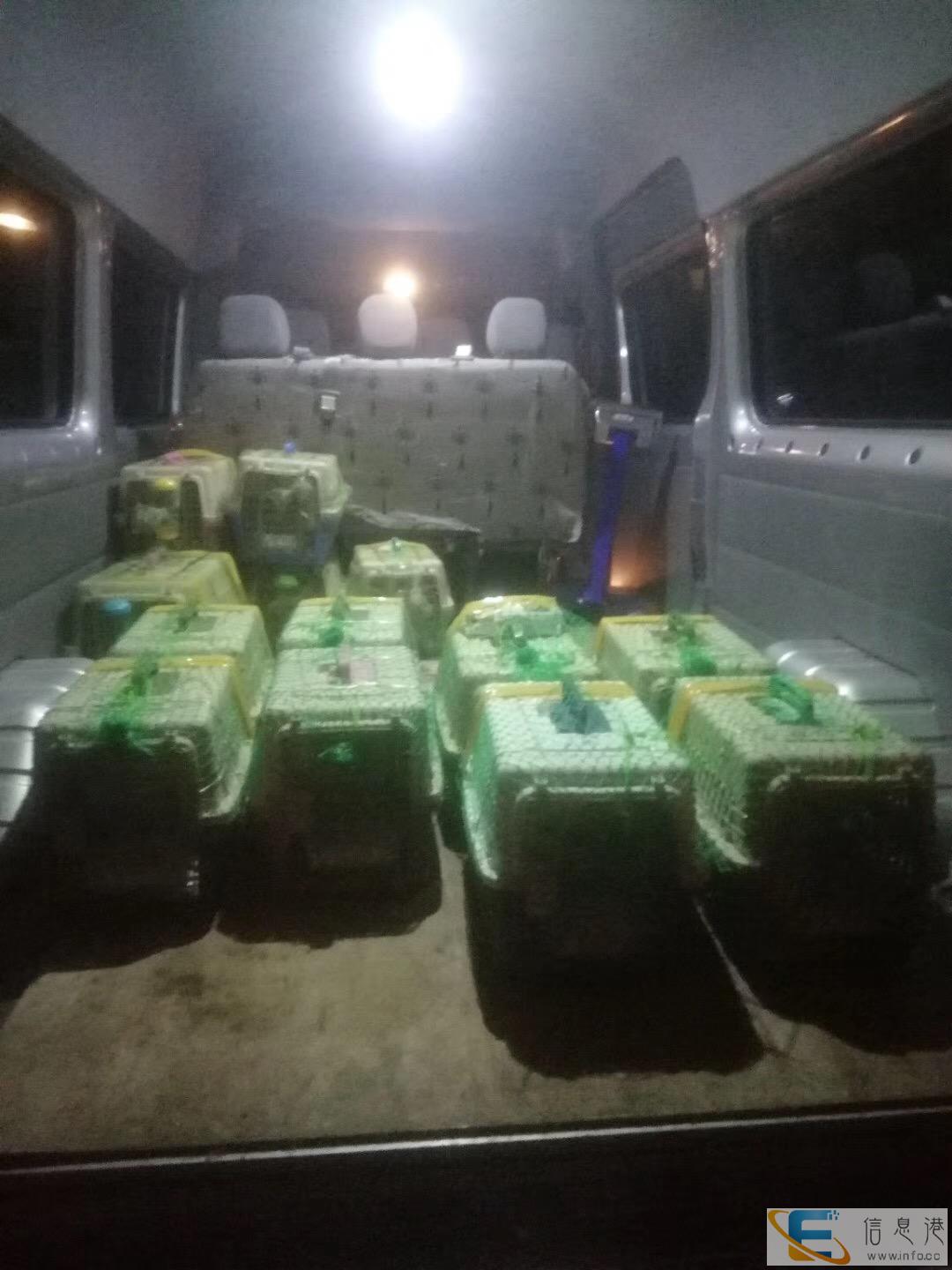 陕西安康宠物托运上门接送全国连锁