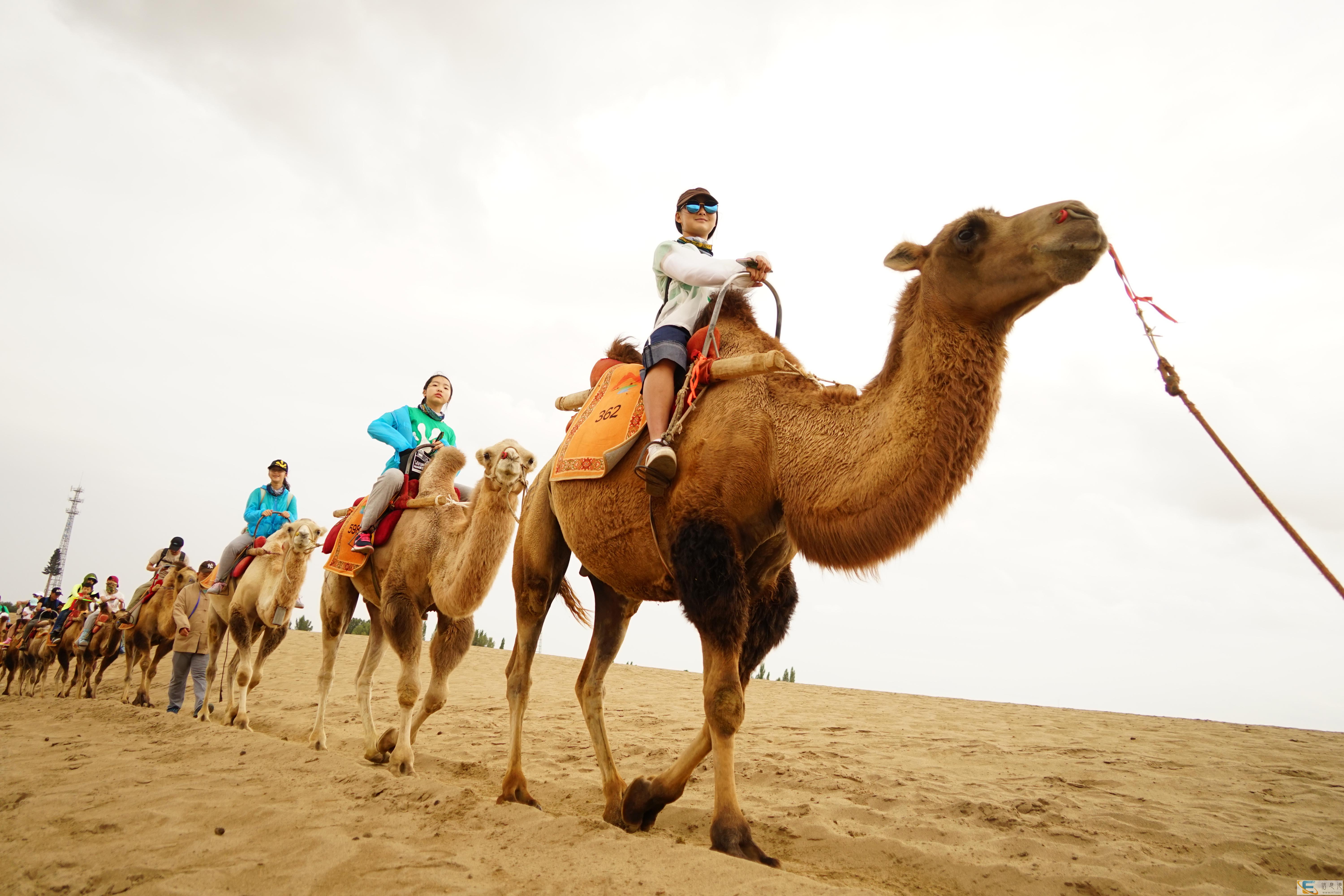 光和青春青少年心理在线咨询