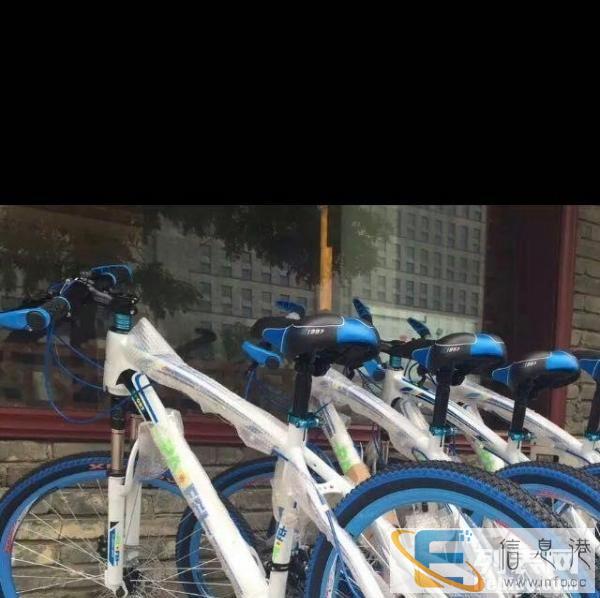 爱玩客定制 山地车 全新 包装