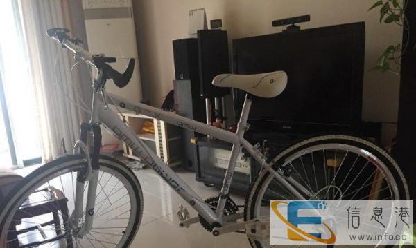 全新自行车转让