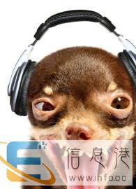 宠物托运全国即可中转