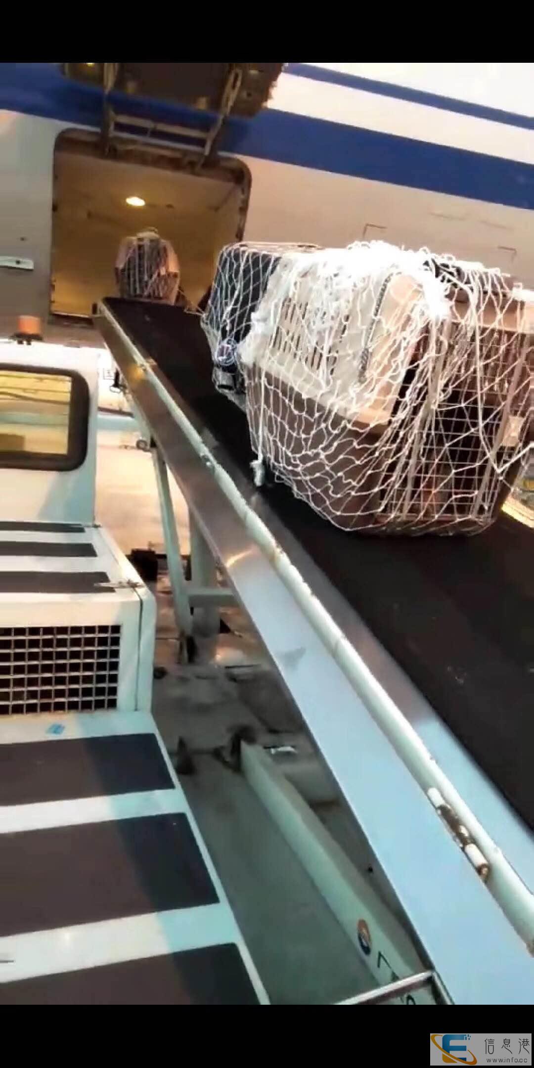 保山宠物托运公司专车接送