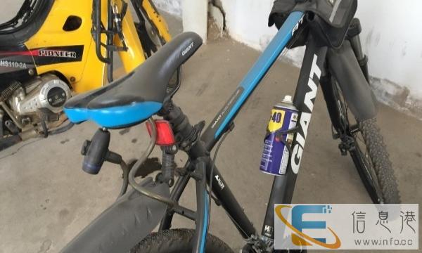 捷安特自行车