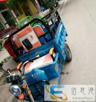 立马之星电动车出售